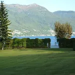 Hermitage Mimosa