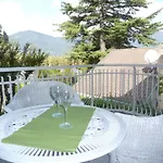 Hermitage Mimosa