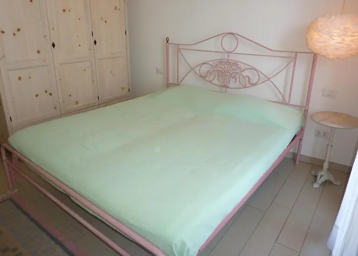 Hermitage Mimosa بورتو فالترافاغليا